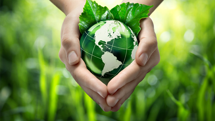 Công ty TNHH Electron Tô Châu, Ltd.